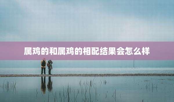 属鸡的和属鸡的相配结果会怎么样