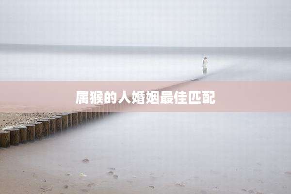 属猴的人婚姻最佳匹配