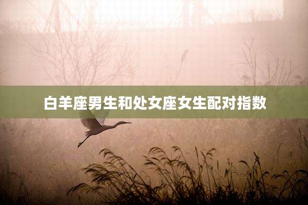白羊座男生和处女座女生配对指数