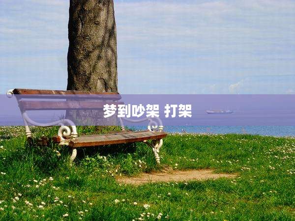 梦到吵架 打架