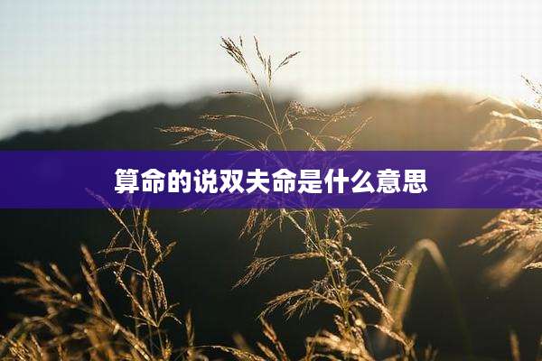 算命的说双夫命是什么意思