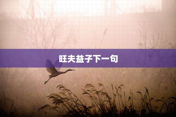 旺夫益子下一句