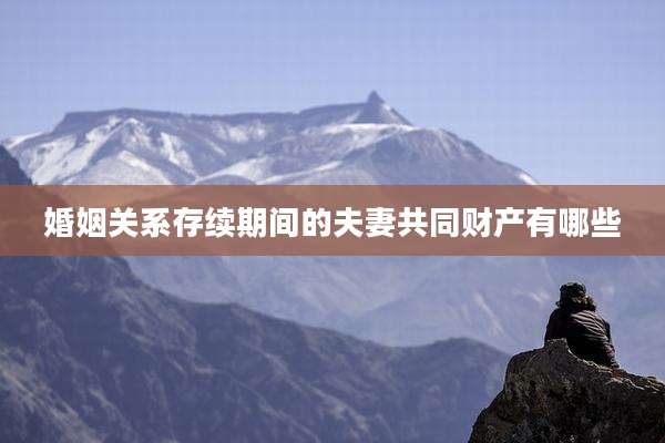 婚姻关系存续期间的夫妻共同财产有哪些