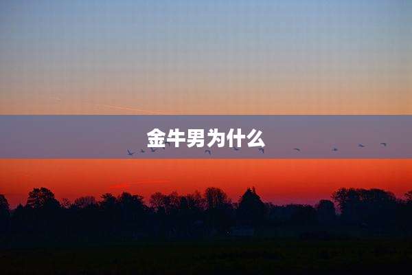 金牛男为什么
