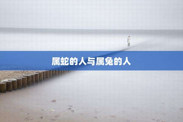 属蛇的人与属兔的人