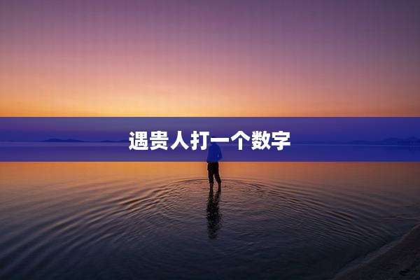 遇贵人打一个数字