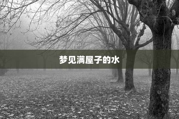 梦见满屋子的水