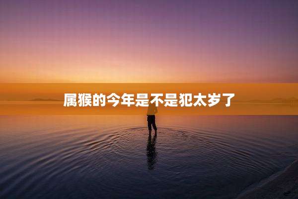 属猴的今年是不是犯太岁了