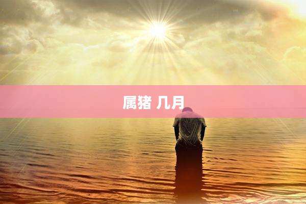 属猪 几月