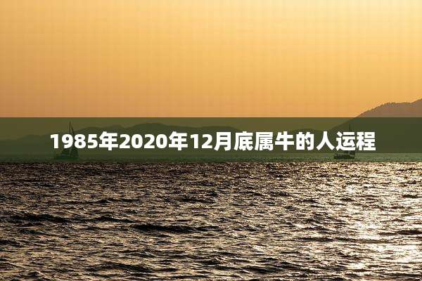 1985年2020年12月底属牛的人运程
