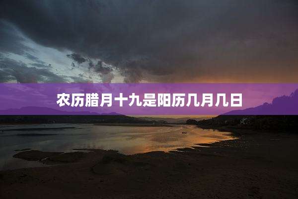农历腊月十九是阳历几月几日