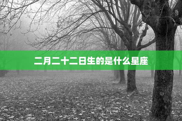 二月二十二日生的是什么星座