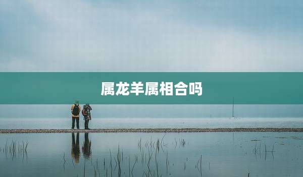 属龙羊属相合吗