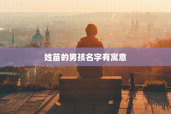 姓苗的男孩名字有寓意