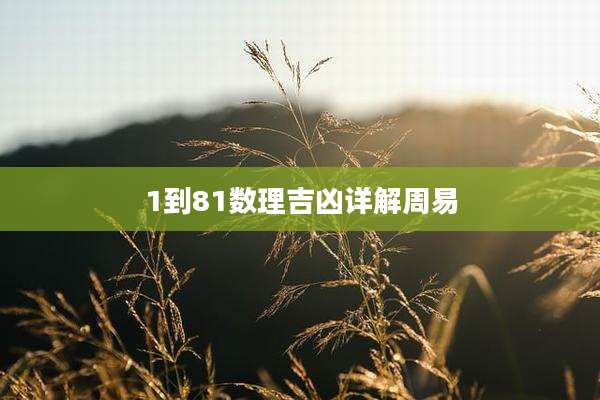 1到81数理吉凶详解周易