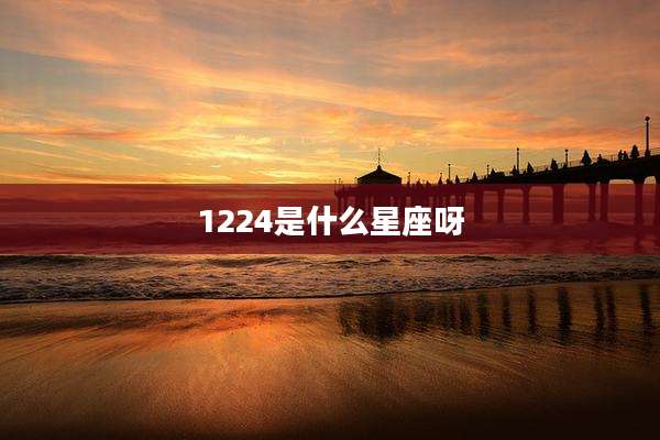 1224是什么星座呀