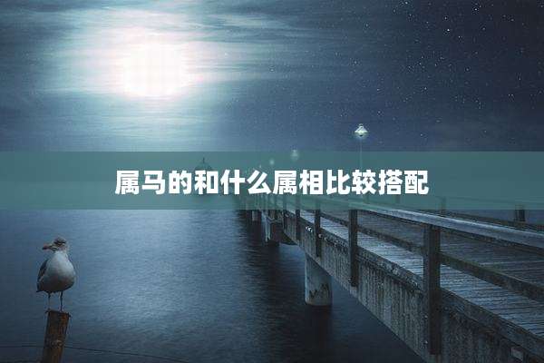 属马的和什么属相比较搭配