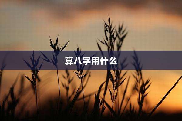 算八字用什么