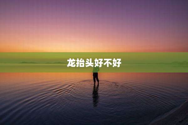 龙抬头好不好