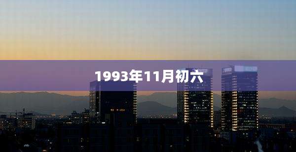 1993年11月初六