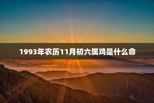 1993年农历11月初六属鸡是什么命