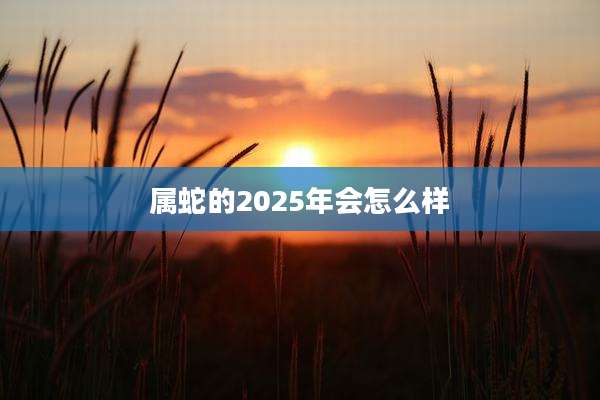 属蛇的2025年会怎么样