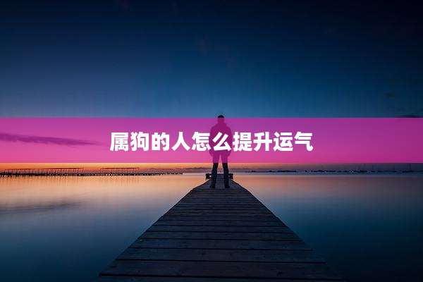 属狗的人怎么提升运气