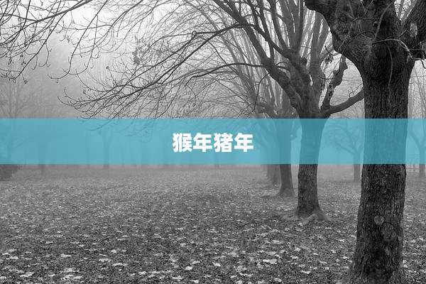 猴年猪年
