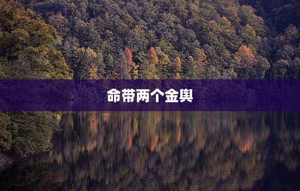 命带两个金舆