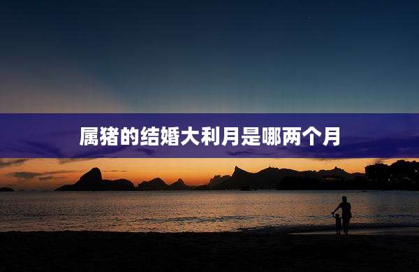 属猪的结婚大利月是哪两个月