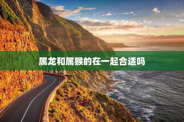 属龙和属猴的在一起合适吗