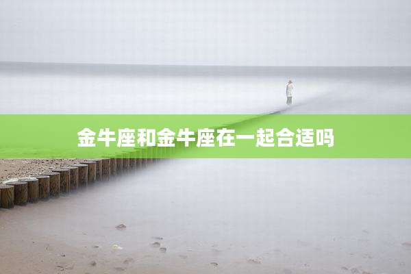 金牛座和金牛座在一起合适吗