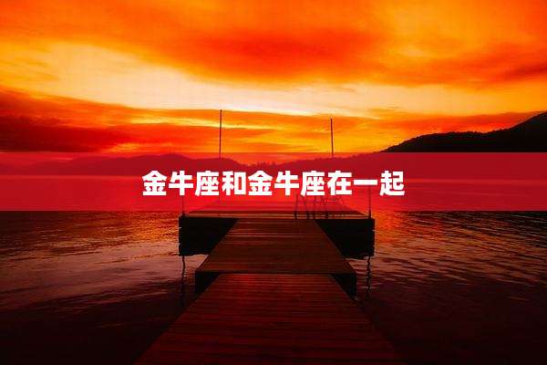 金牛座和金牛座在一起