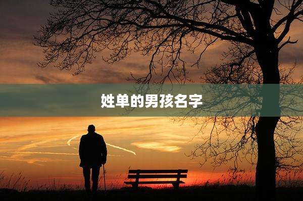 姓单的男孩名字