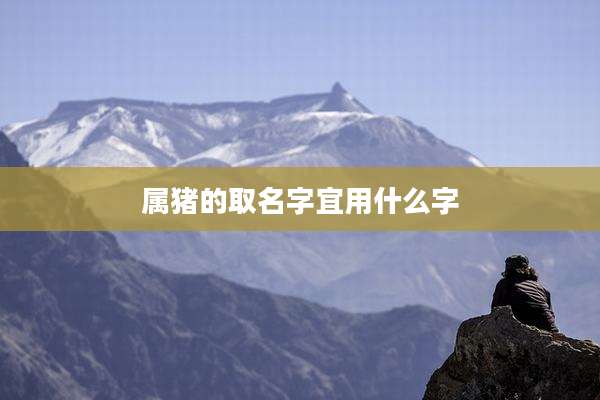 属猪的取名字宜用什么字