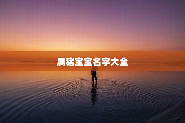 属猪宝宝名字大全