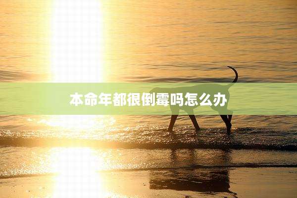 本命年都很倒霉吗怎么办
