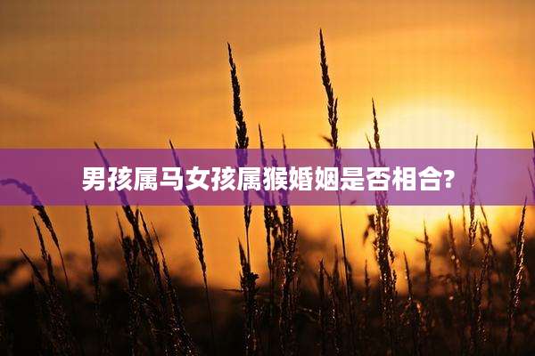 男孩属马女孩属猴婚姻是否相合?