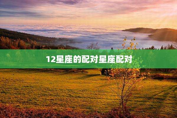 12星座的配对星座配对
