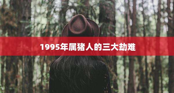 1995年属猪人的三大劫难