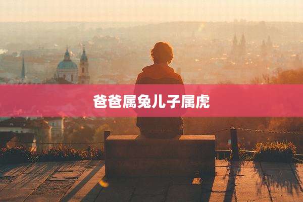 爸爸属兔儿子属虎