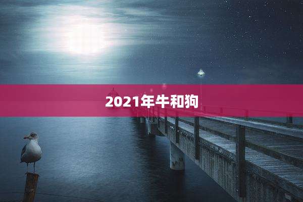 2021年牛和狗