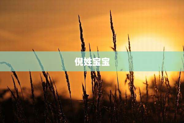 倪姓宝宝