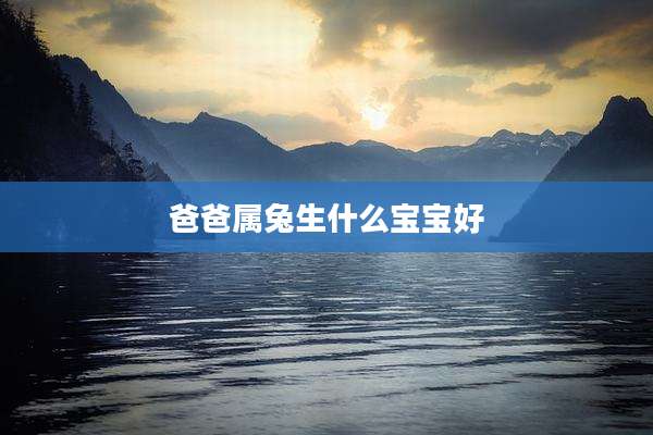 爸爸属兔生什么宝宝好