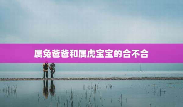 属兔爸爸和属虎宝宝的合不合