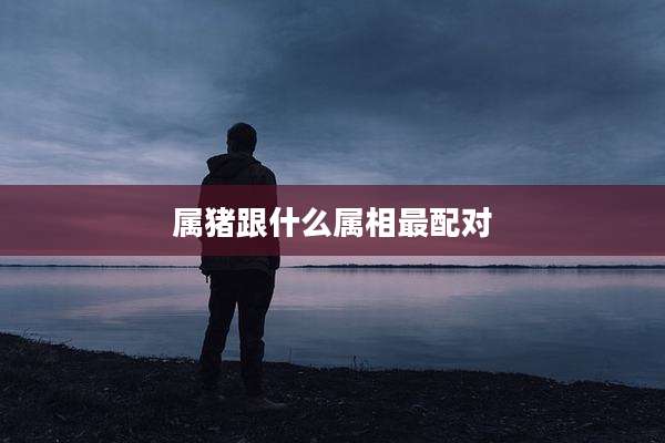属猪跟什么属相最配对