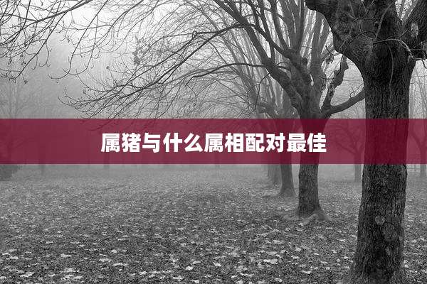 属猪与什么属相配对最佳