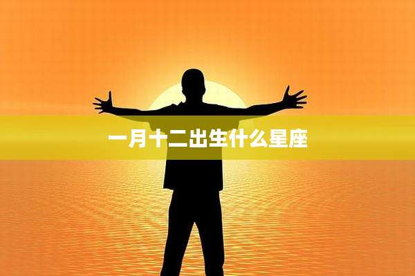 一月十二出生什么星座
