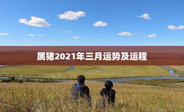 属猪2021年三月运势及运程