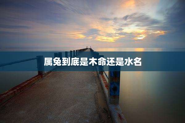 属兔到底是木命还是水名
